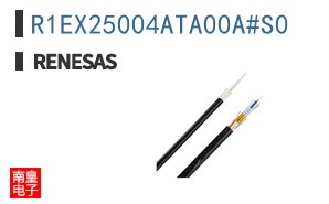 R1EX25004ATA00A#S0