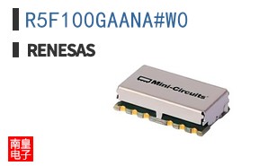 R5F100GAANA#W0