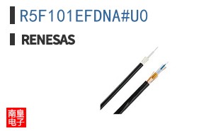 R5F101EFDNA#U0