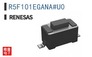 R5F101EGANA#U0