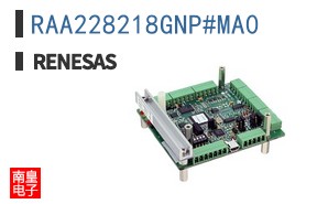 RAA228218GNP#MA0