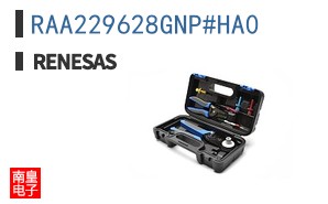 RAA229628GNP#HA0