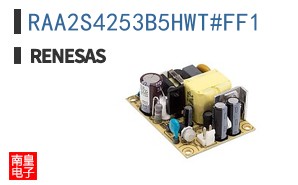 RAA2S4253B5HWT#FF1