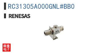 RC31305A000GNL#BB0